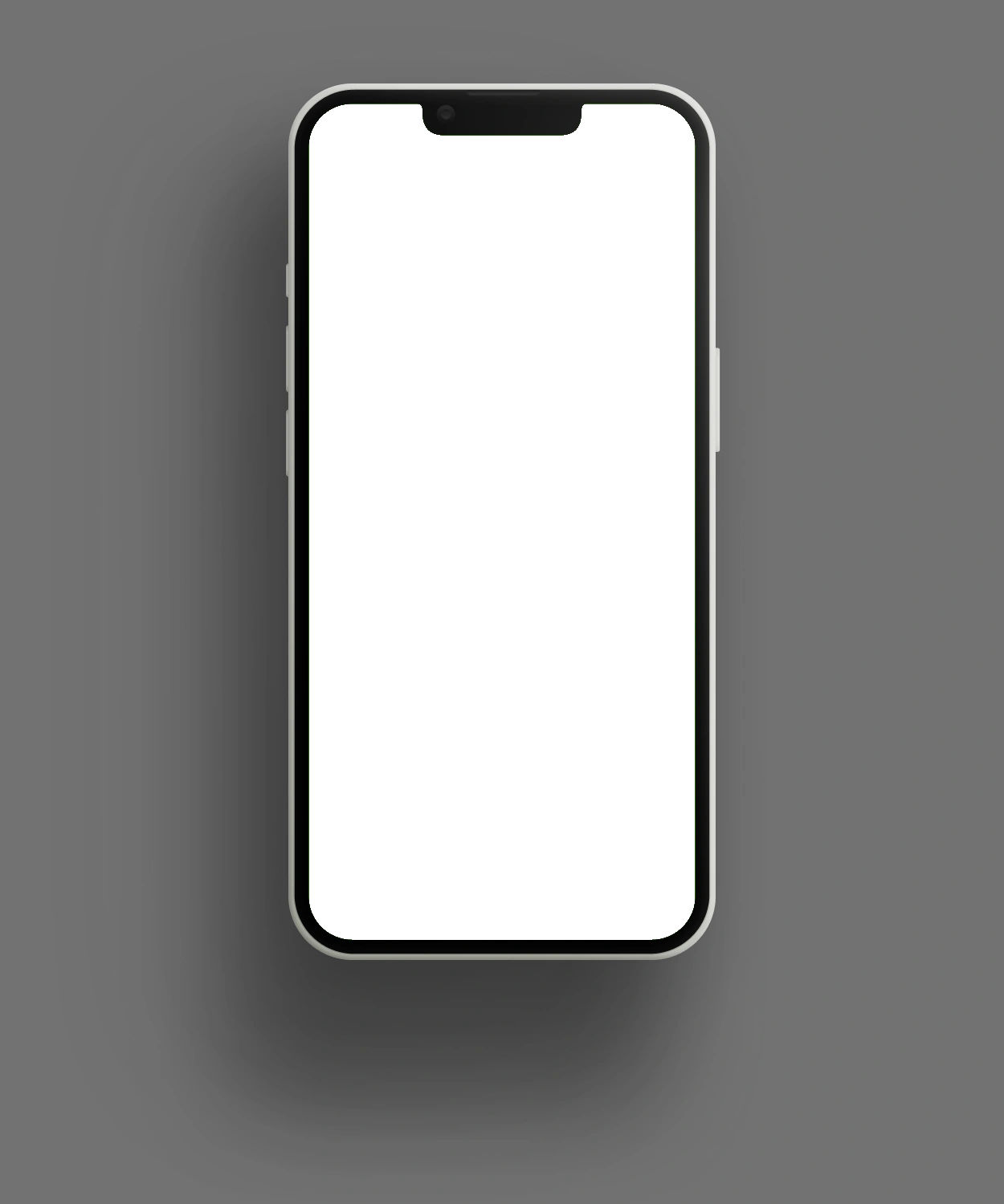 iPhone Mockup Frame